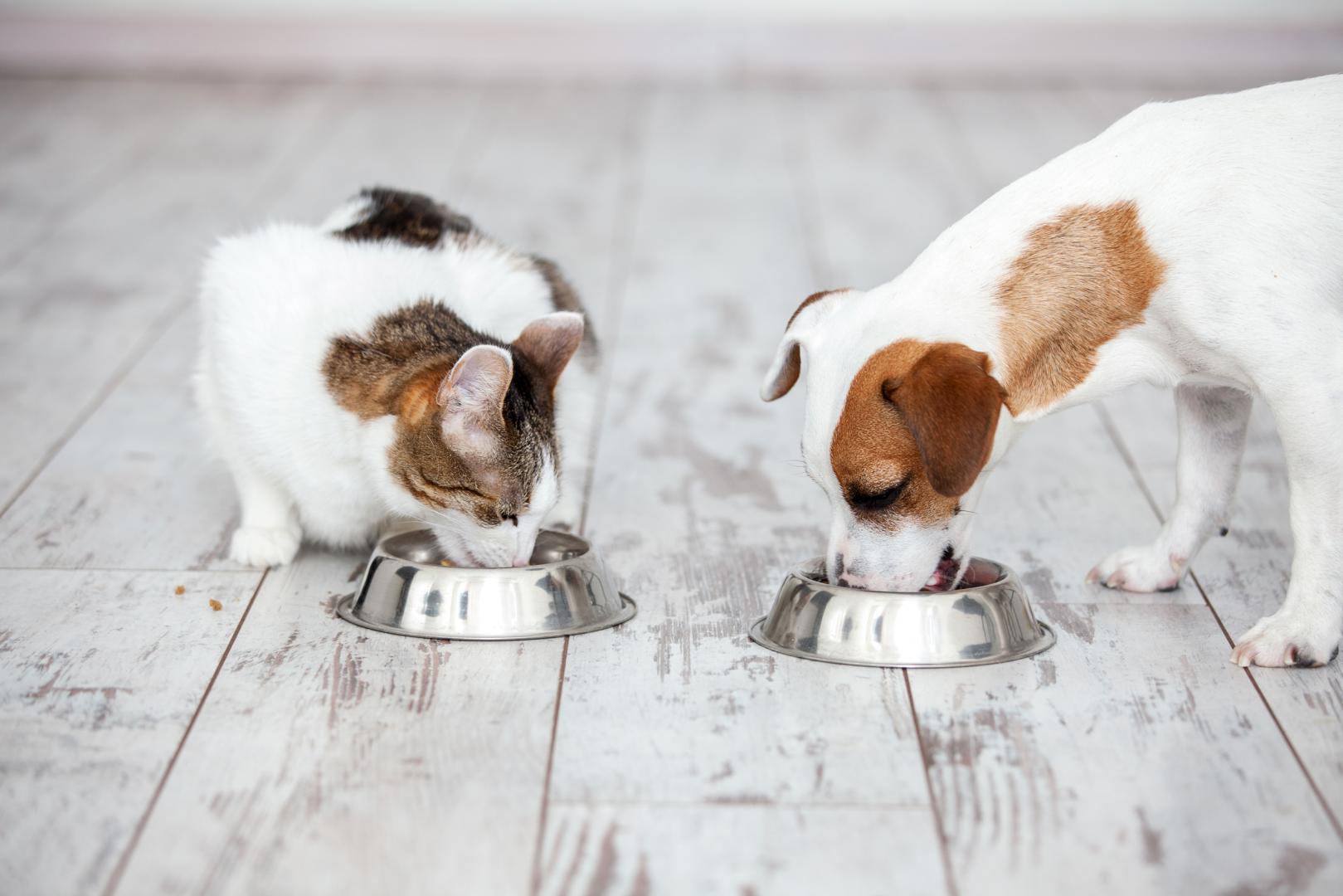 Healthy Pet Food Supplier Victoria Melbourne